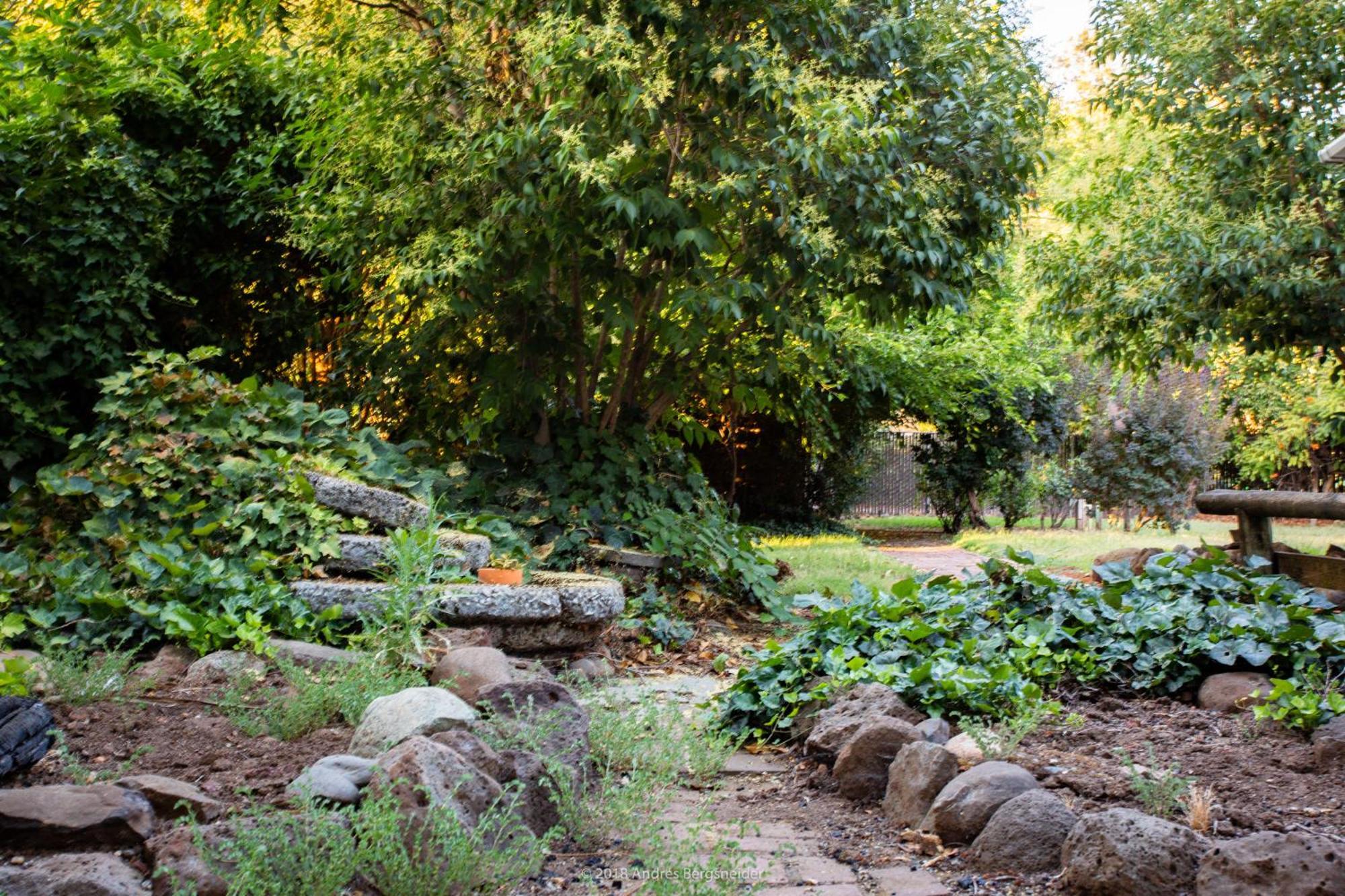Downtown Dream Casa Near Chico State, Private Yard Villa Luaran gambar